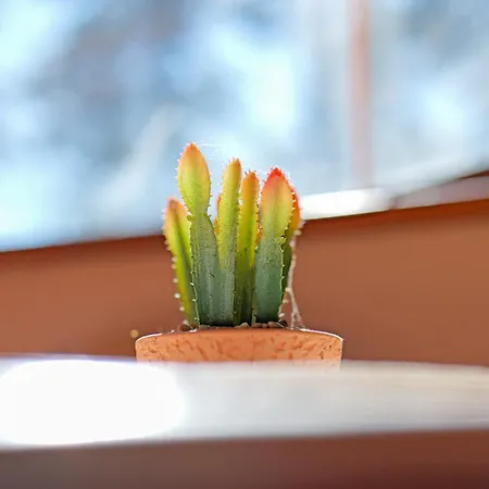 Apartmán La Playa Siófok