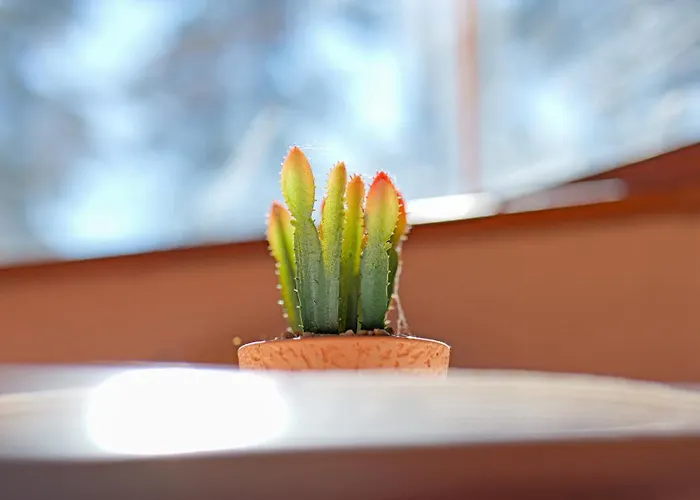 Appartement La Playa Siófok